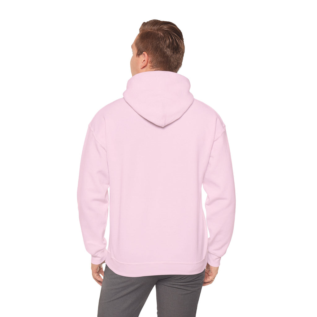 BASIC HOODIE BABY PINK