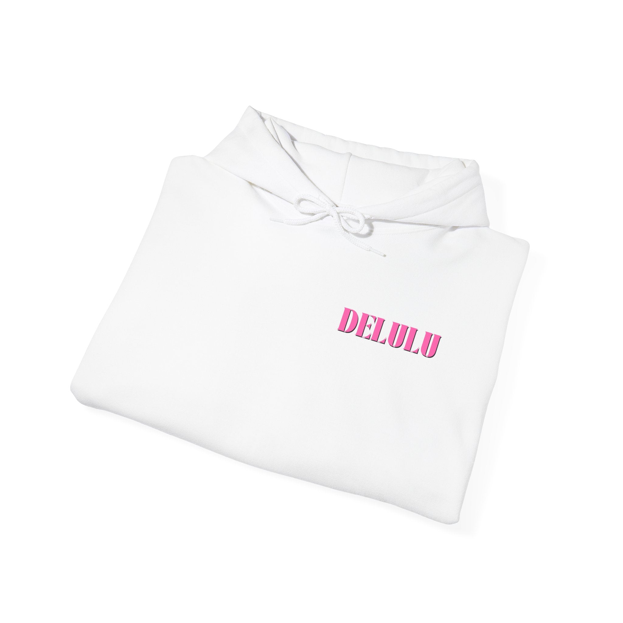 STATEMENT HOODIE DELULU - BLUE & PINK/BLACK