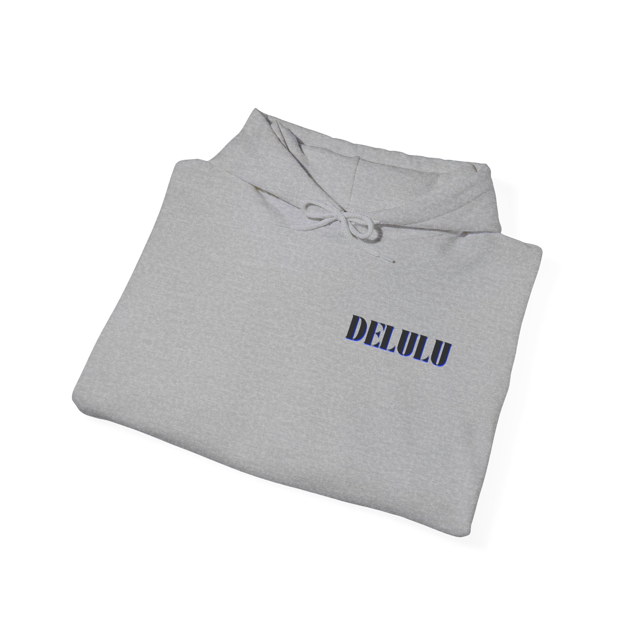 STATEMENT HOODIE DELULU - BLUE & BLACK/BLUE