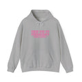 DELULU HIGH SCHOOL HOODIE - GREY&PINK