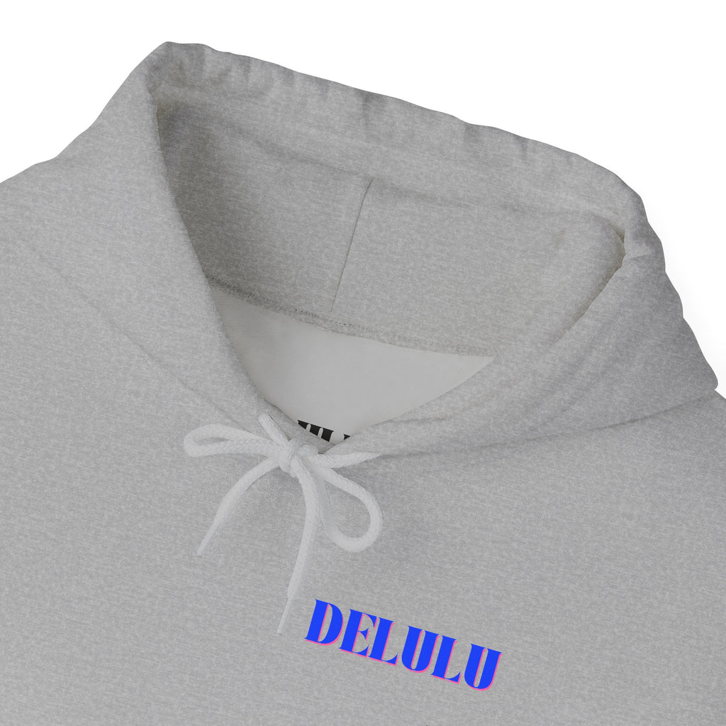 STATEMENT HOODIE DELULU - GREY & BLUE/PINK