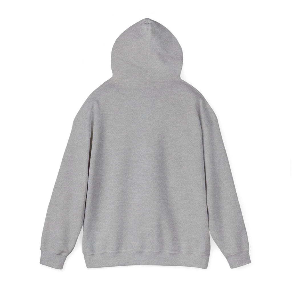 DELULU HIGH SCHOOL HOODIE - GREY&BLUE