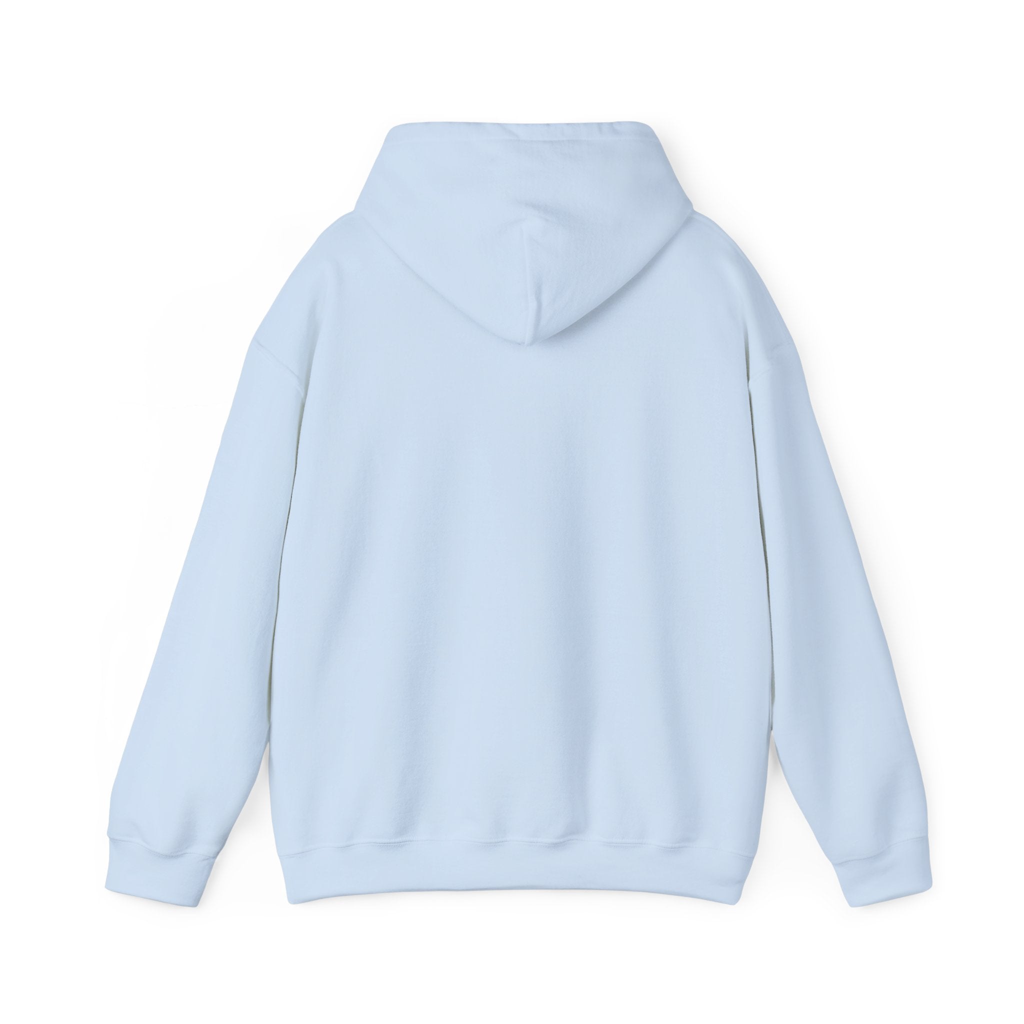 BASIC HOODIE BABY BLUE