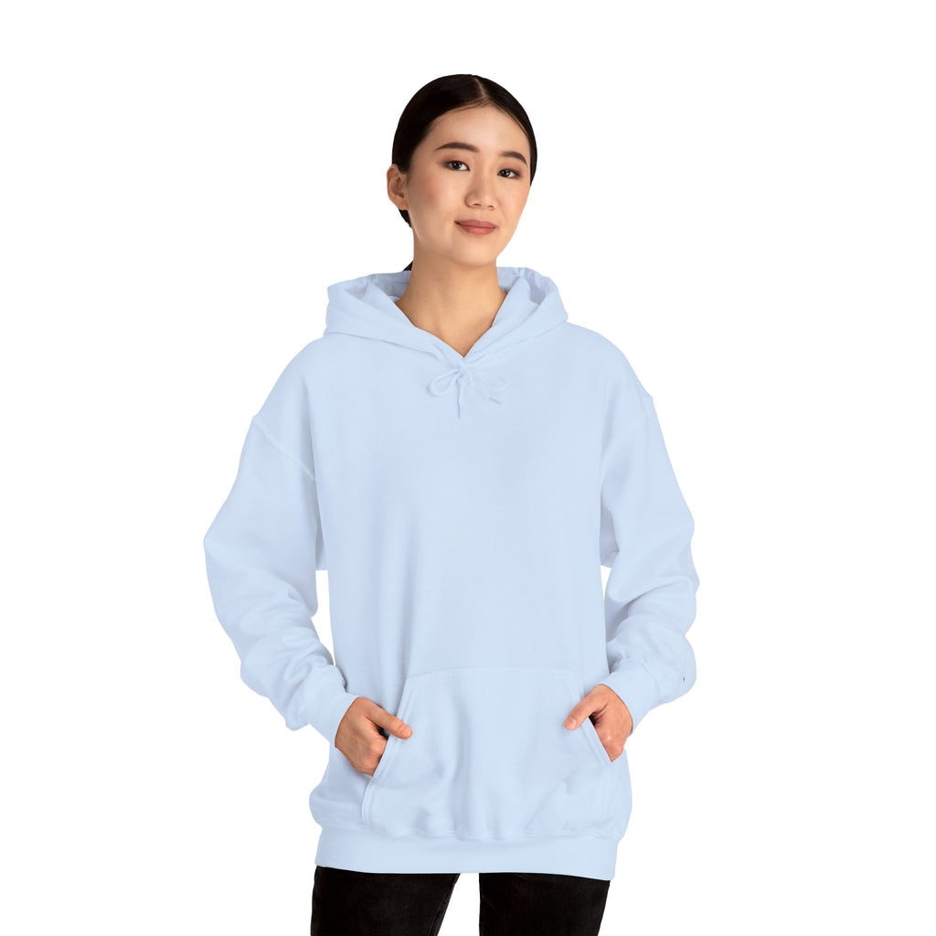 DELULU IS THE SOLULU HOODIE - BABY BLUE