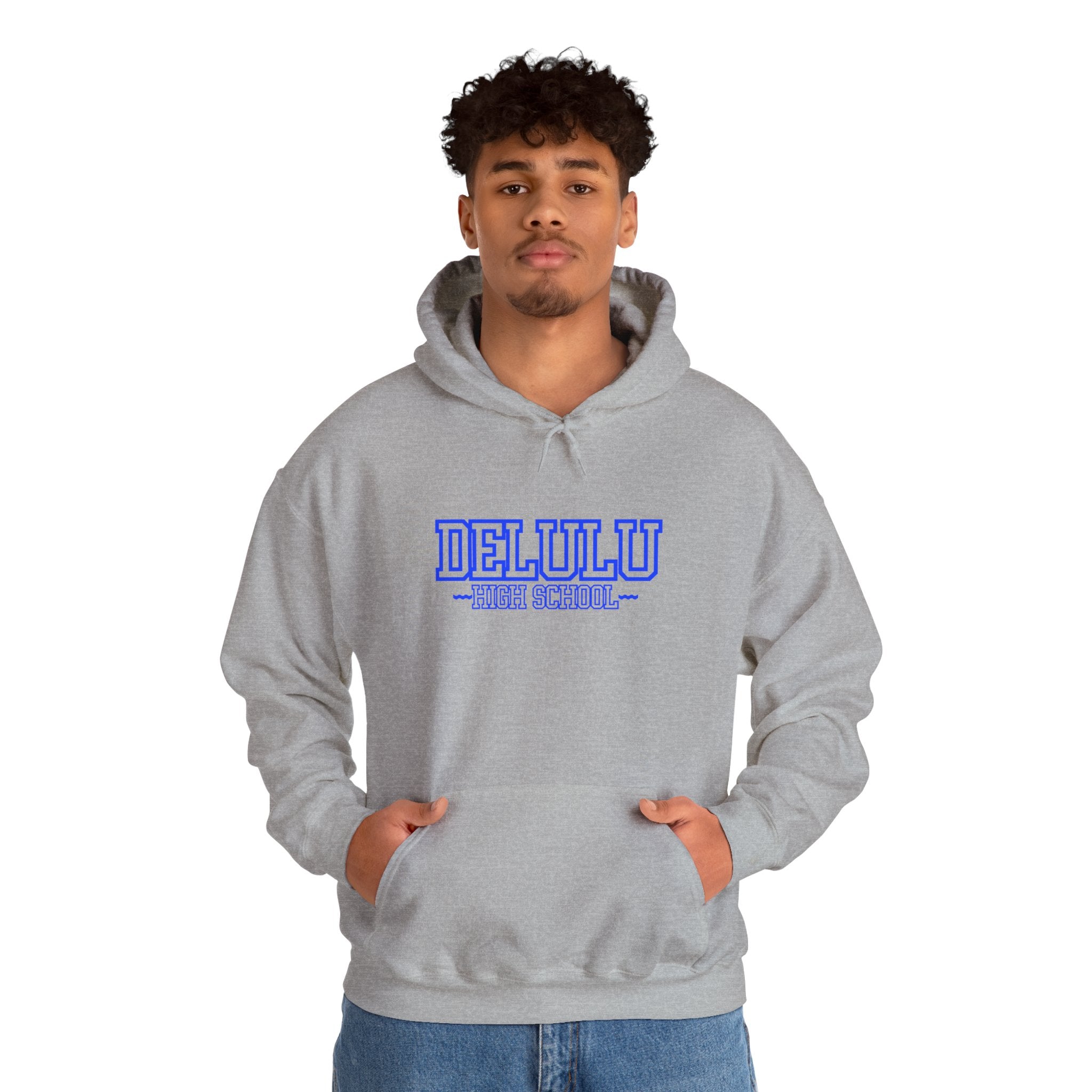 DELULU HIGH SCHOOL HOODIE - GREY&BLUE
