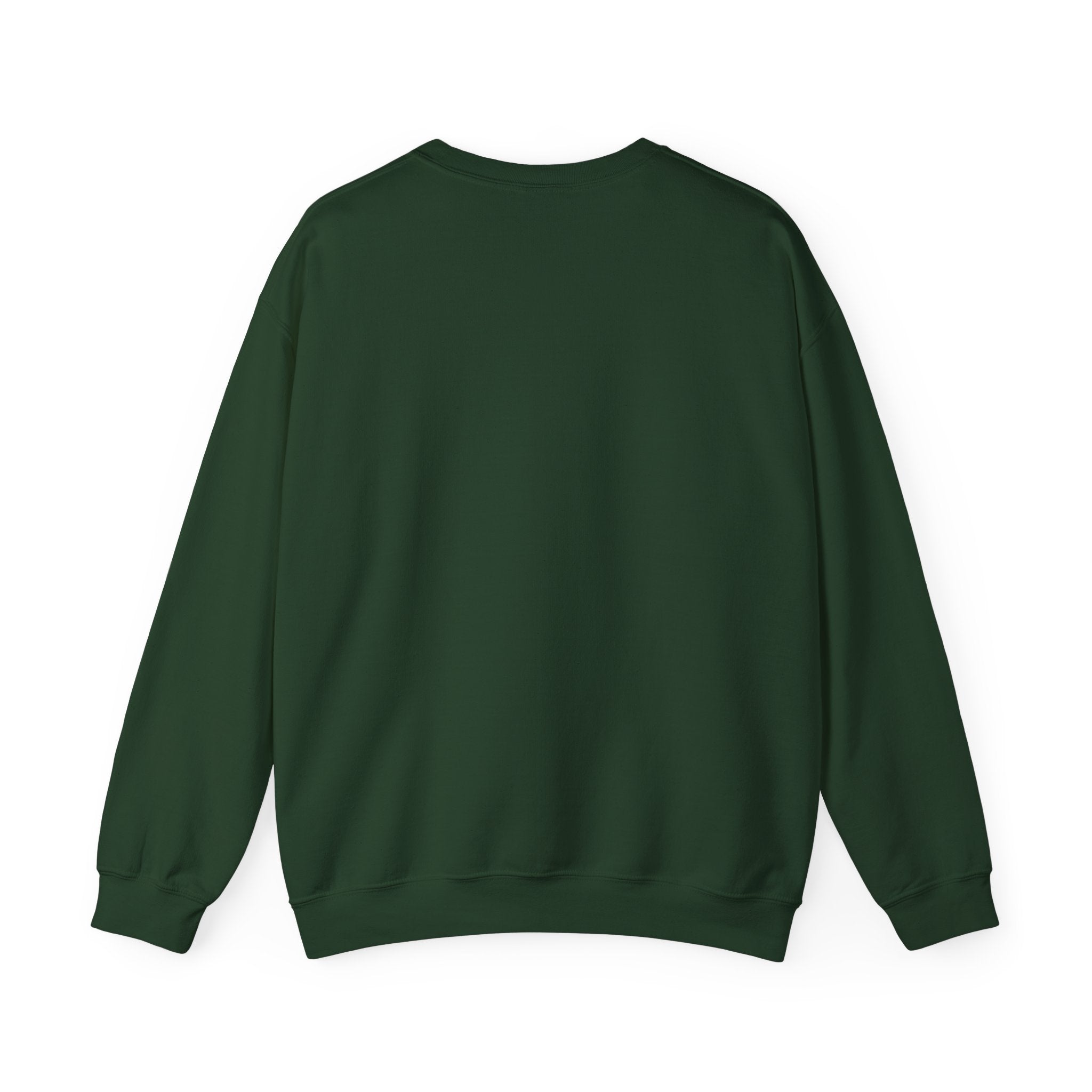 BASIC CREWNECK SWEATSHIRT