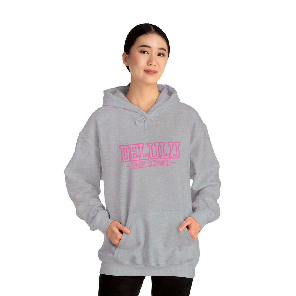 DELULU HIGH SCHOOL HOODIE - GREY&PINK