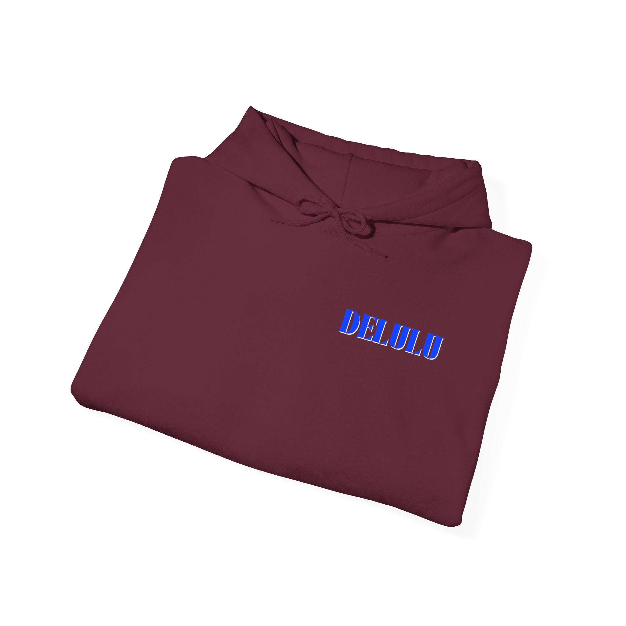 STATEMENT HOODIE DELULU - MAROON & BLUE/WHITE