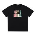 PRIDE LOOSE FIT UNISEX T-SHIRT - GAY & DELULU