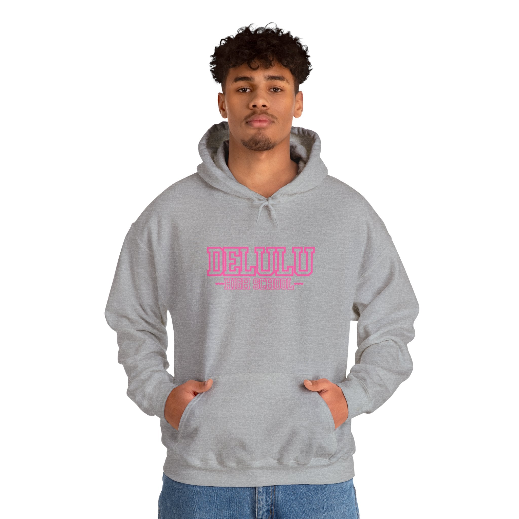 DELULU HIGH SCHOOL HOODIE - GREY&PINK