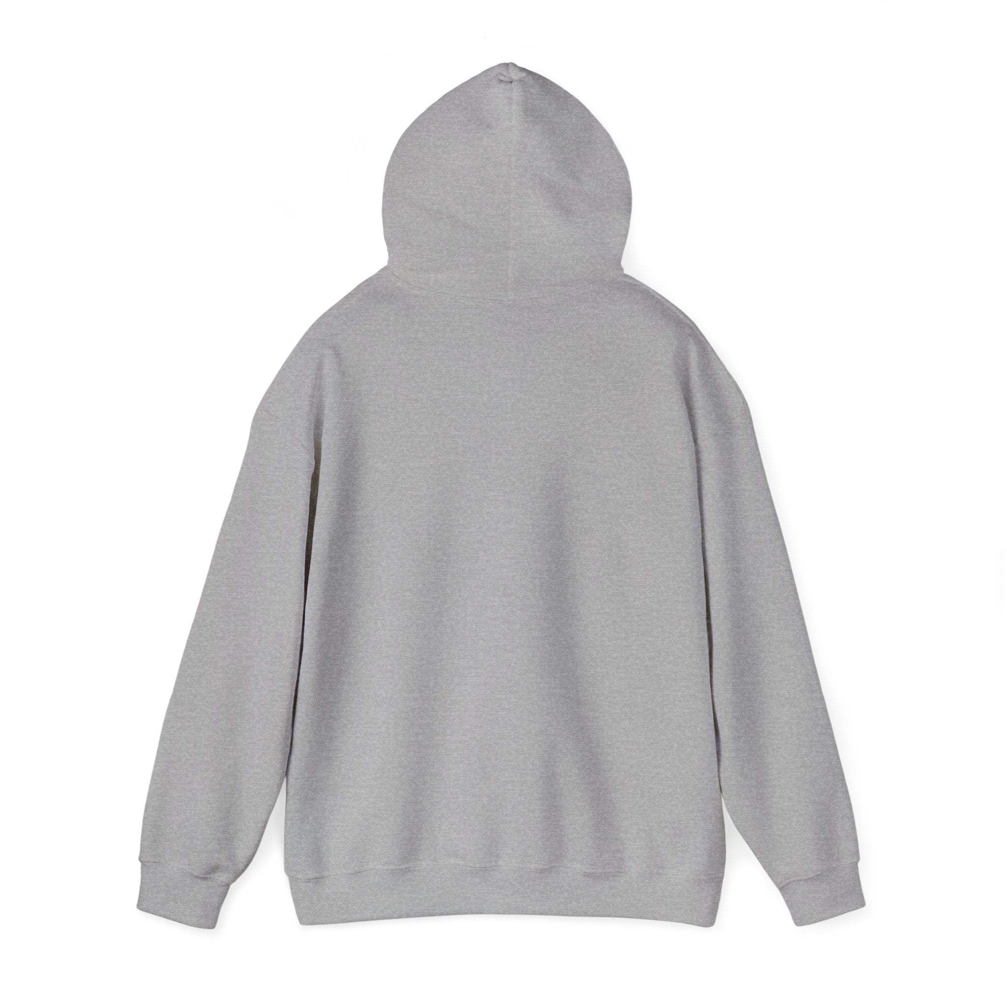 DELULU HIGH SCHOOL HOODIE - GREY&RED