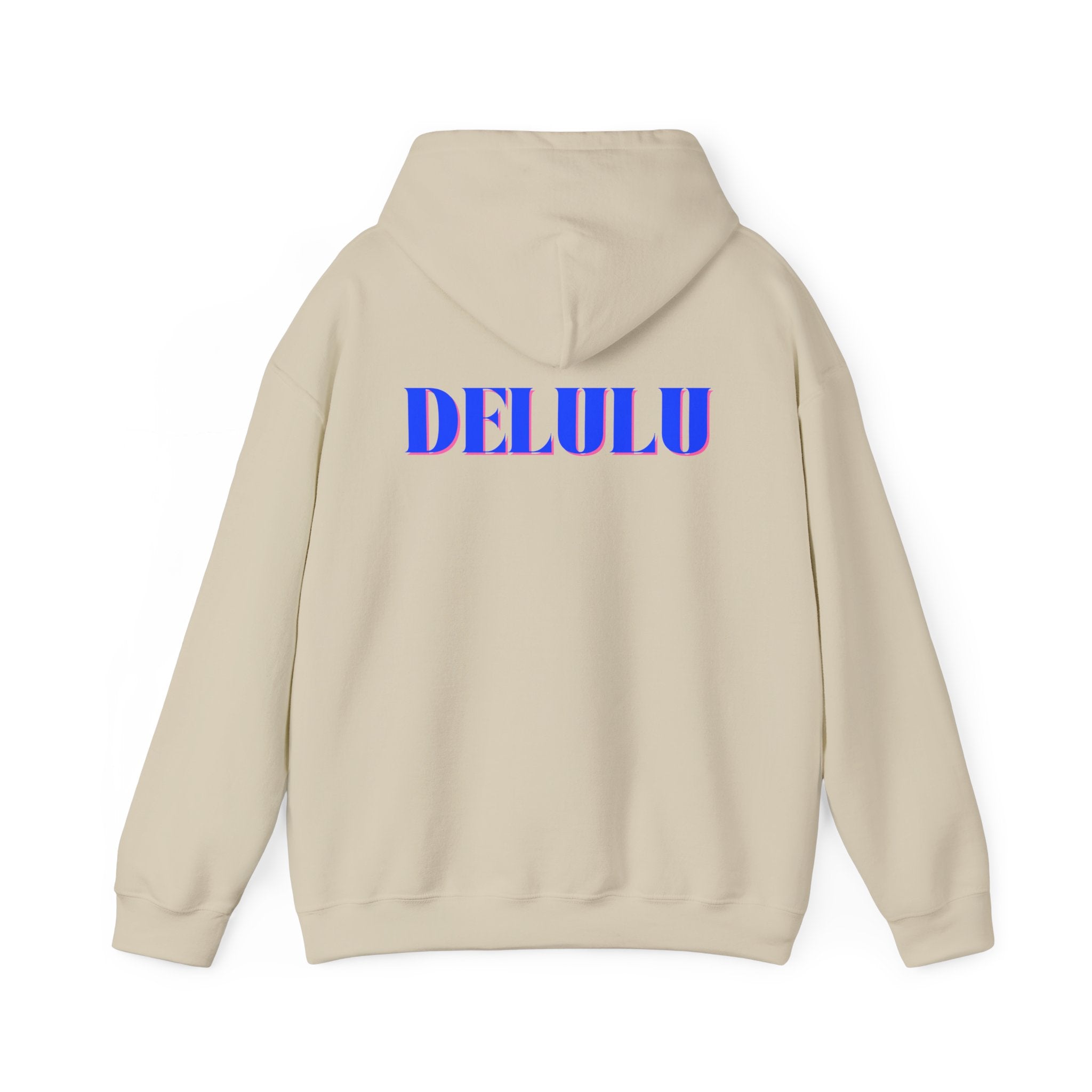 STATEMENT HOODIE DELULU - PINK & BLUE/PINK