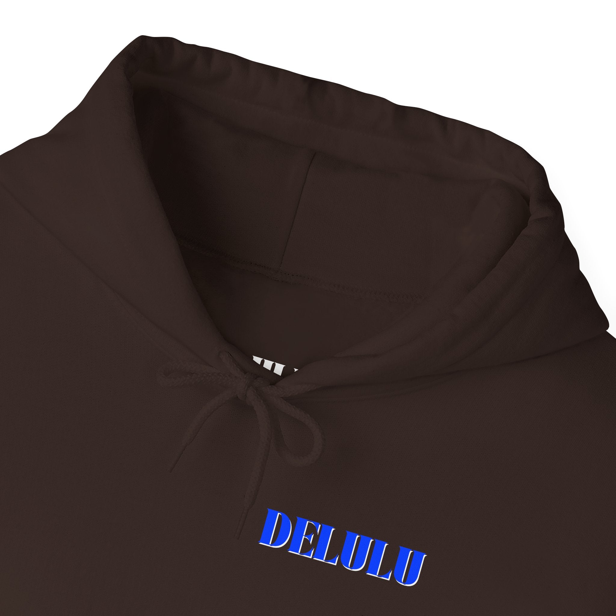 STATEMENT HOODIE DELULU - MAROON & BLUE/WHITE