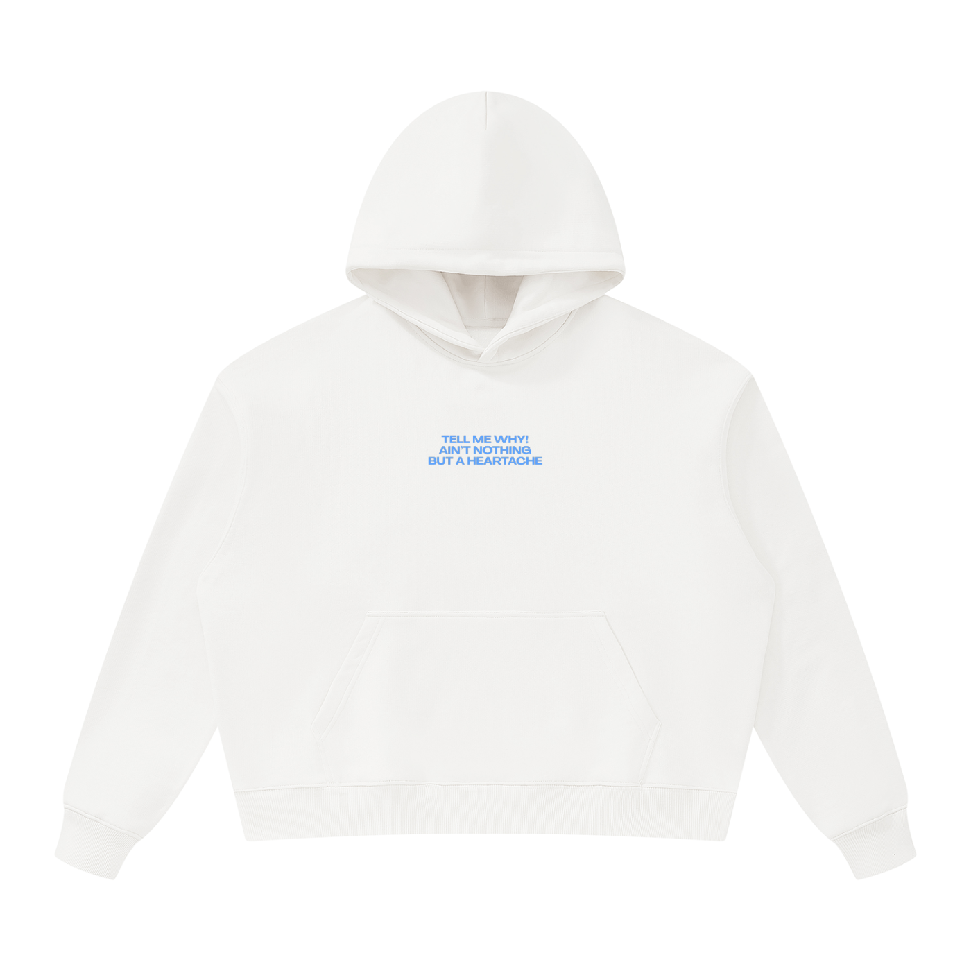 UNISEX OVERSIZED HEAVYWEIGHT HOODIE - HOMECOMING DÜSSELDORF - TELL ME WHY