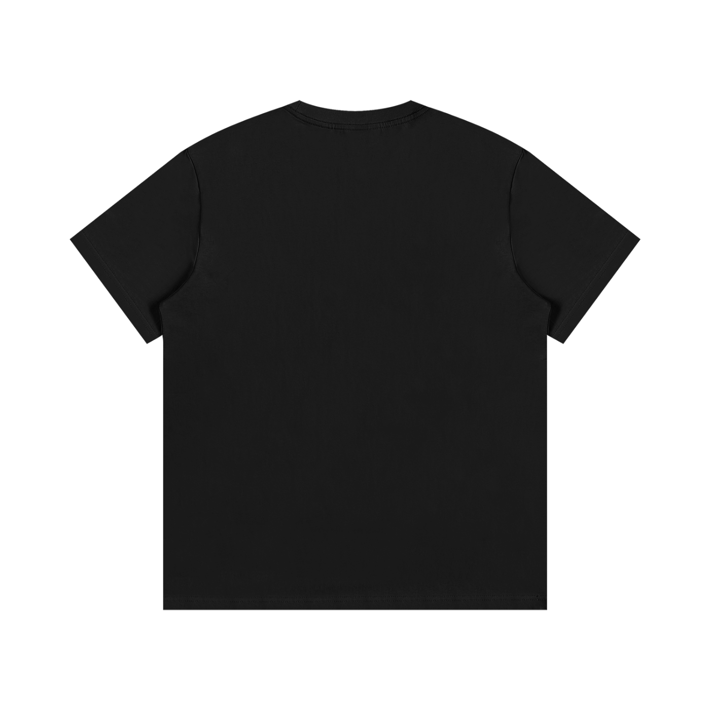 ESSENTIAL UNISEX COTTION T-SHIRT - WORLD CUP - BRAUT SUMMER