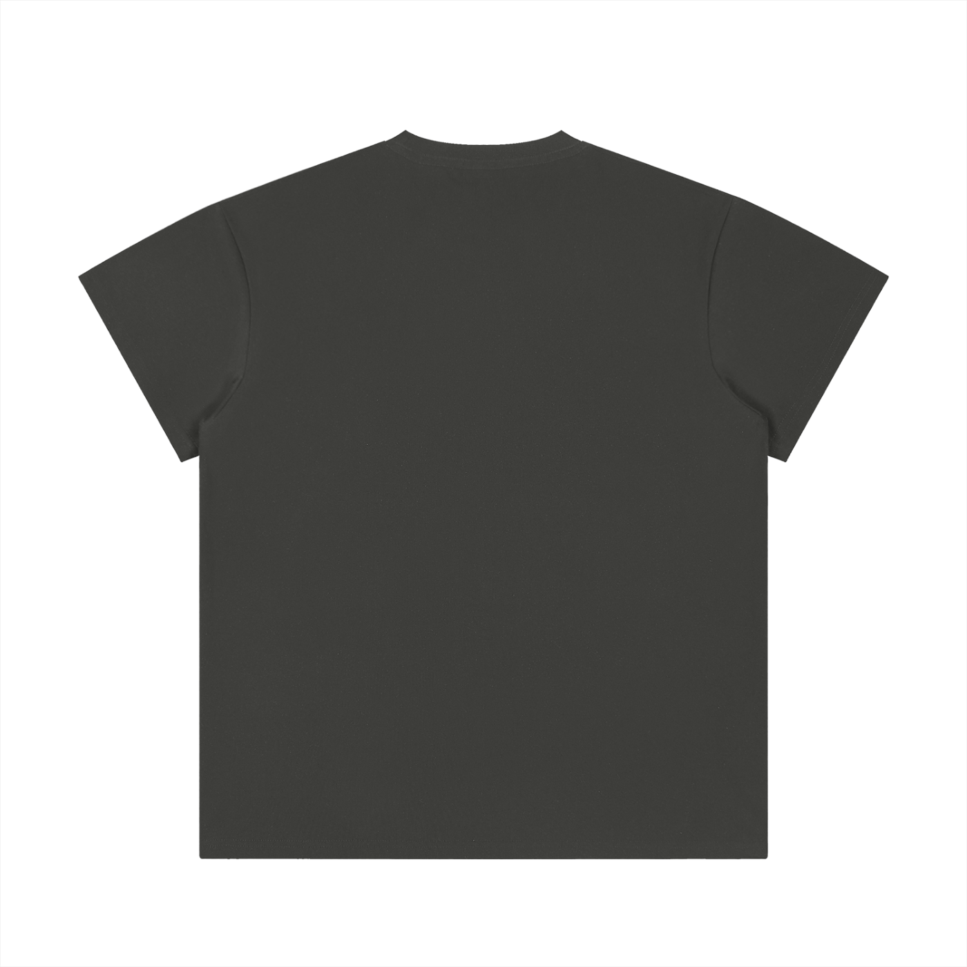 BASIC UNISEX REGULAR FIT CREWNECK T-SHIRT